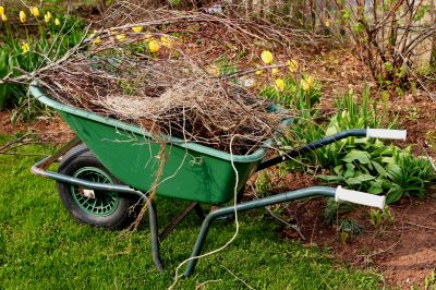 Mulched Leaves on Garden Bed