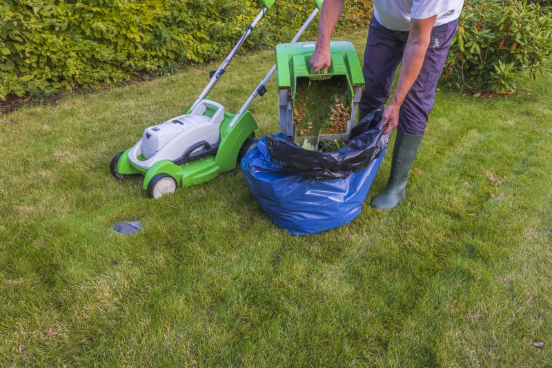 Products For Lawn Clean Up Service in use