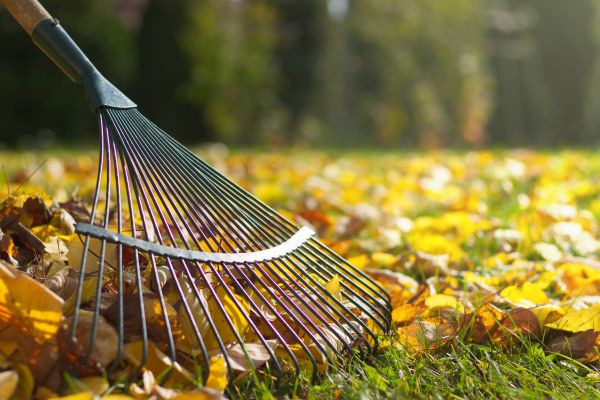 Leaf Cleanup Service in Benton