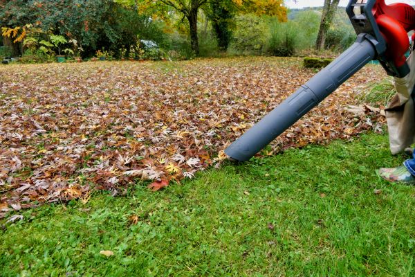 Leaf Vacuuming Service in Benton