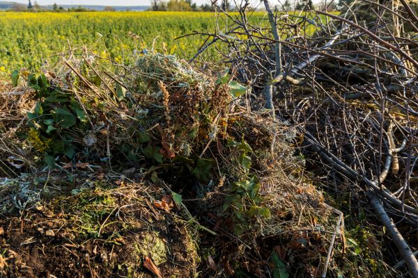 Brush Disposal in Benton
