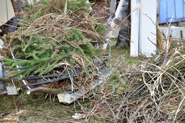 Yard Waste Removal Service in Benton