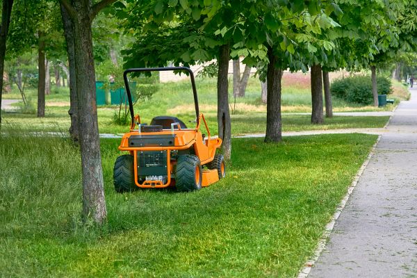 Landscaping Cleanup Service in Benton