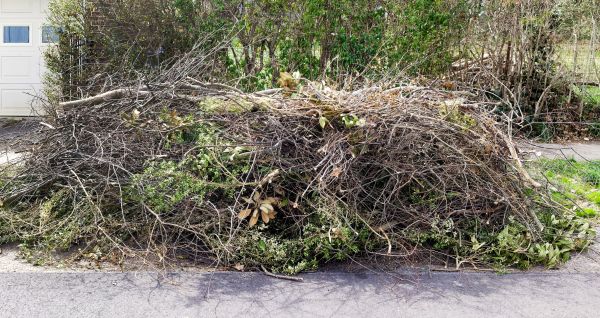Tree Limb Cleanup in Benton