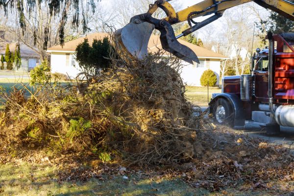 Storm Debris Removal in Benton