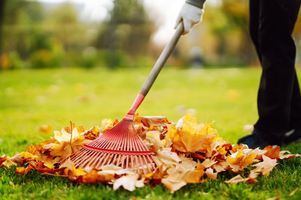 Ditch Leaf Removal in Benton
