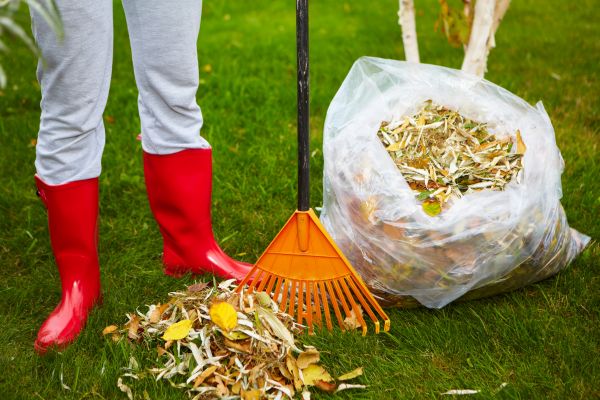 Leaf Disposal Service in Benton