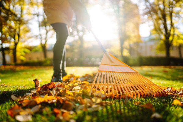 Leaves Raking in Benton