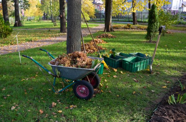 Leaf Clearing Service in Benton