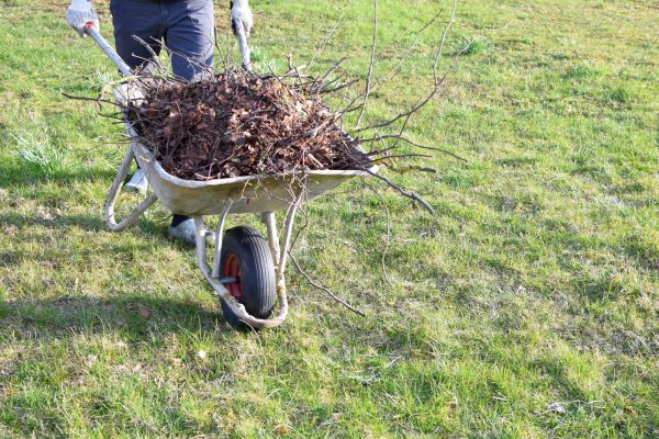 Yard Brush Removal in Benton