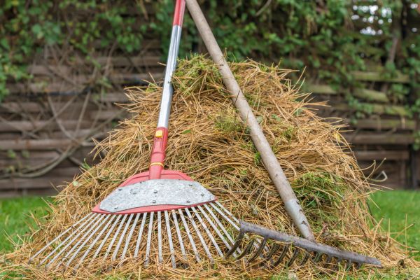 Pine Straw Clearing in Benton