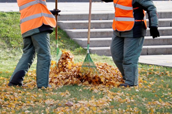Leaf Hauling Service in Benton