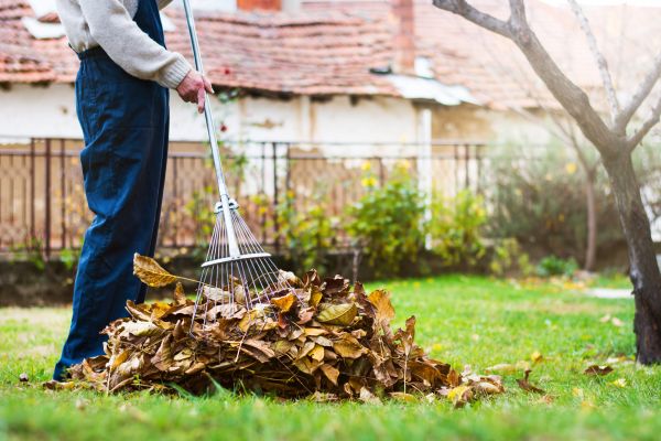 Spring Lawn Cleanup in Benton