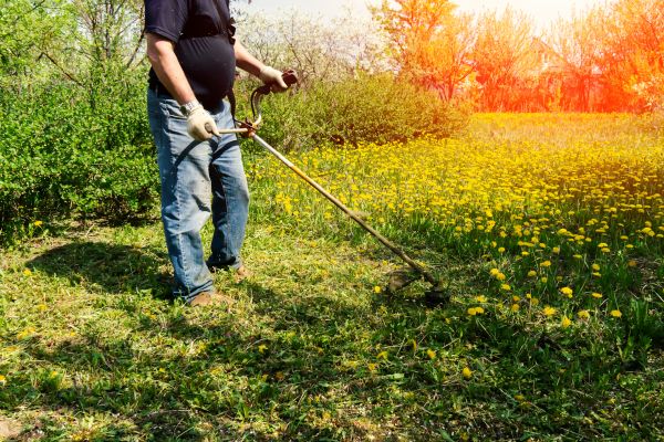 Yard Clearing Service in Benton
