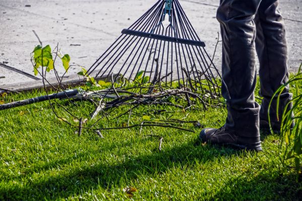Yard Debris Cleanup in Benton