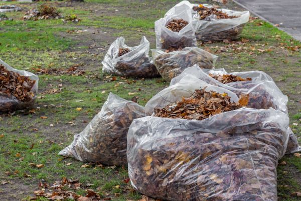 Leaf Pile Disposal in Benton