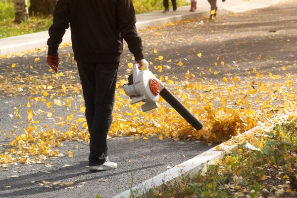 Commercial Leaf Removal in Benton
